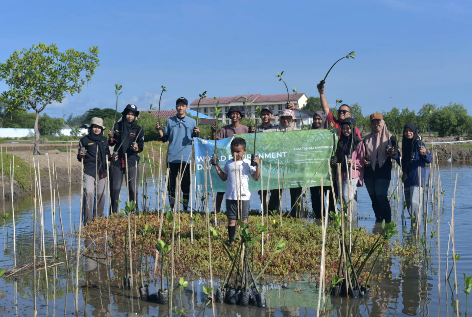 FJL Gelar Aksi Tanam Mangrove di Pesisir Pantai Lampulo, Peringati Hari Lingkungan Sedunia