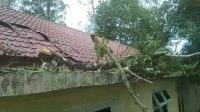 Rusak Tertimpa Pohon Tumbang Kantor PWI Aceh Besar