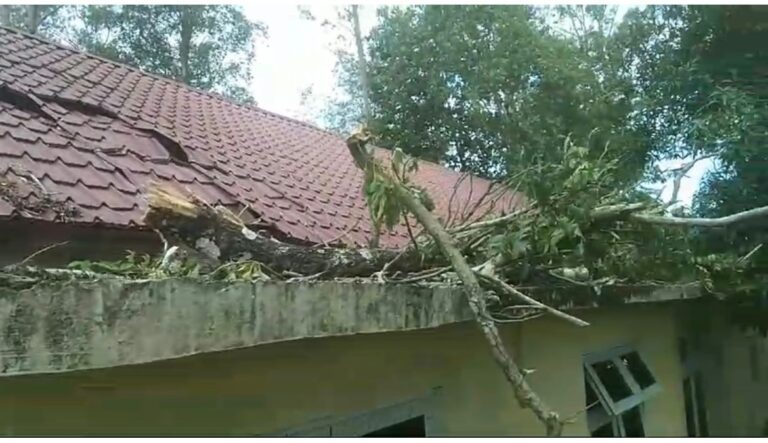 Rusak Tertimpa Pohon Tumbang Kantor PWI Aceh Besar