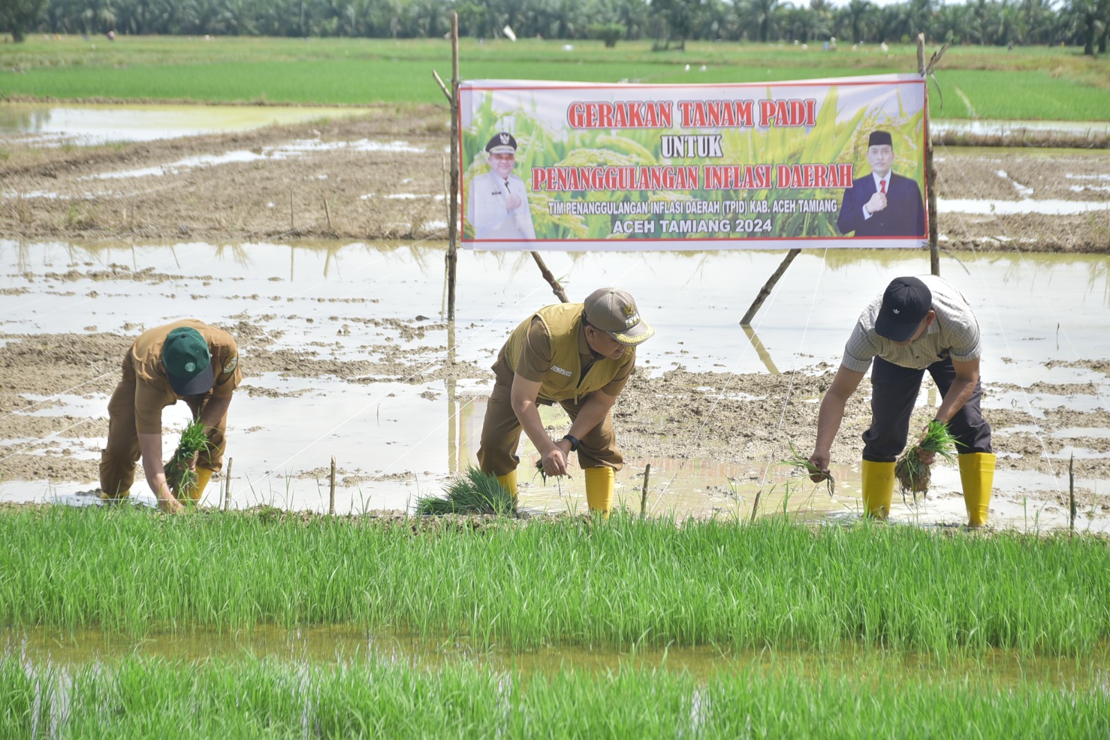 PJ. BUPATI ASRA BUKA GERTAM PADI MT GADU 2024