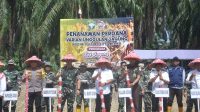 Tanam Perdana Program I’M jagong ,pj, Bupati Asra Minta Dinas Teknis Optimasi Pemanfaatan lahan kosong