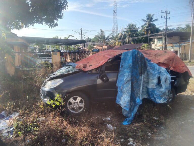 Akibat Tertimpa Pohon Tumbang di Subulussalam, Satu Korban Meninggal Dunia