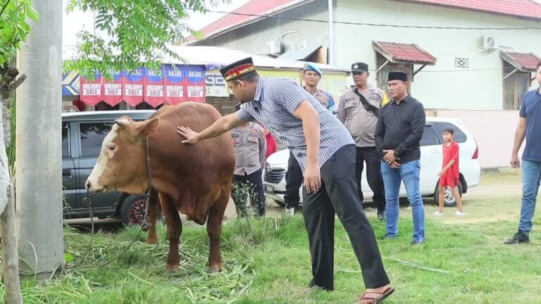 Kepada Pesantren QAHA, Kapolres Lhokseumawe Serahkan Empat Ekor Hewan Qurban