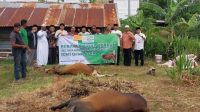 Qurban 4 Ekor Sapi, MPW ICMI Aceh