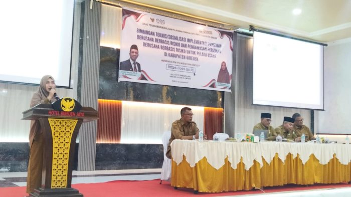 Pemkab Bireuen Melalui DPMPTSP Gelar Bimbingan Teknis