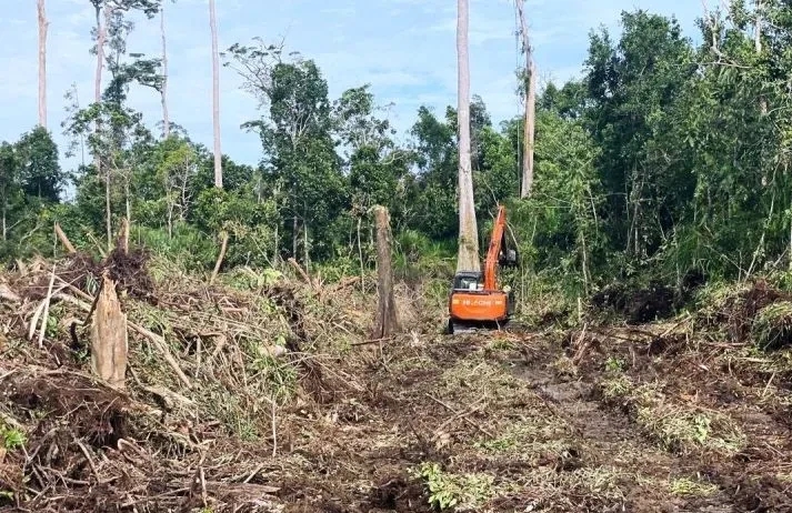 capai 608,81 Ha Kerusakan lahan gambut di Rawa Tripa Aceh