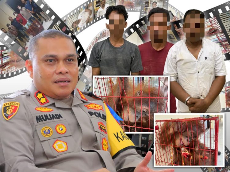 Polres Tangkap Tiga Pelaku Perdagangan Satwa Dilindungi