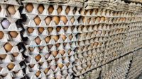 Harga Telur di Banda Aceh Naik