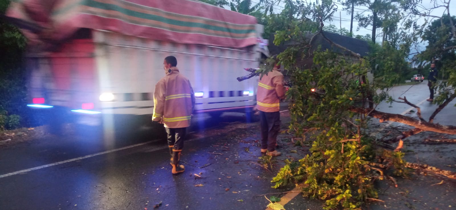 Hujan dan Angin Kencang Sebabkan Pohon Tumbang