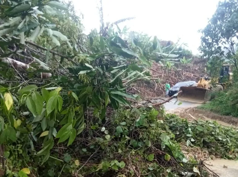 Aceh Tengah Kembali Terjadi Tanah longsor