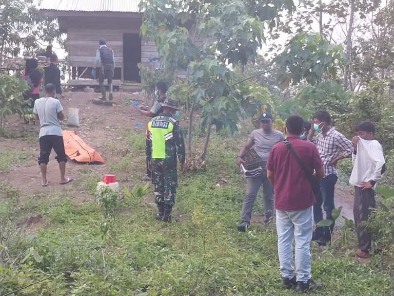 Penemuan Mayat Pria di Kebun Terpencil Bener Meriah