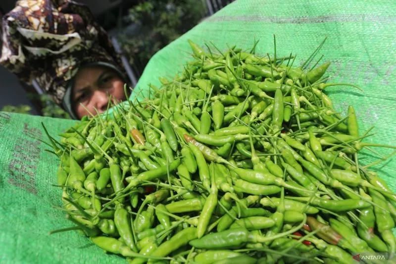 Isteri Pimpinan Ponpes di Aceh Barat Ditangkap