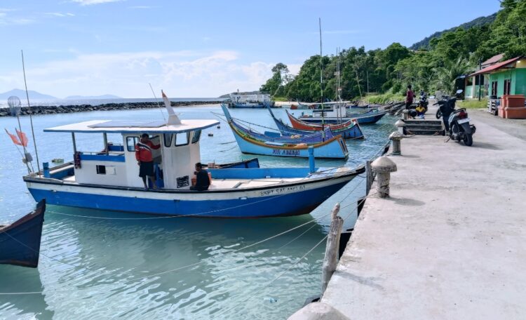 Nelayan Sabang Temukan Banyak Ikan Mati di Laut