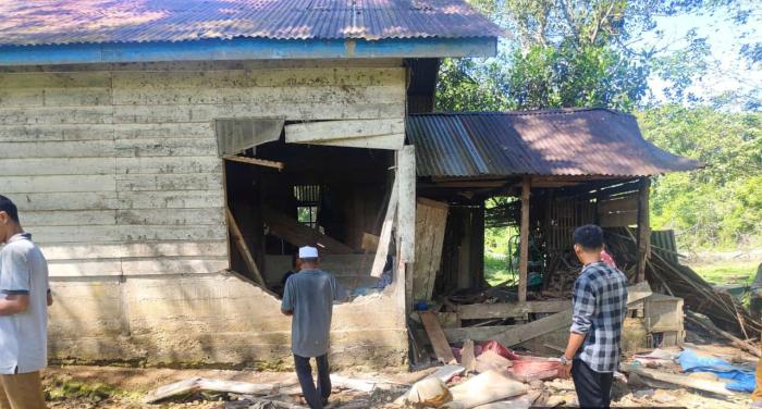 Gajah Liar Obrak Abrik Rumah Warga di Desa Tuwi Meuleusong