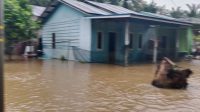 Air Sungai Meluap, Aceh Singkil Banjir