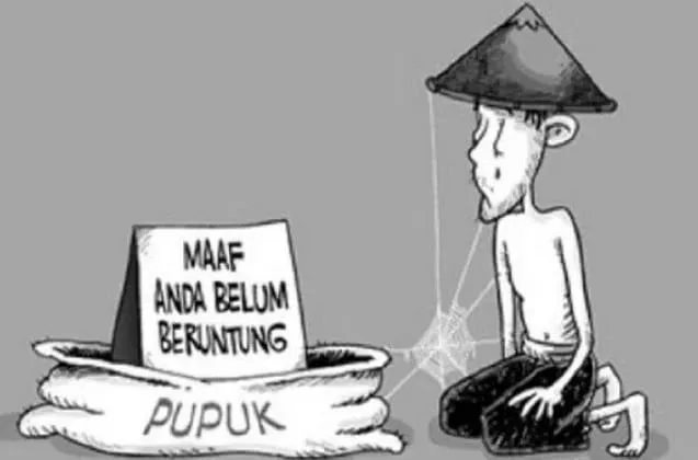 Harga Pupuk Melambung Tinggi di Kecamatan Madat