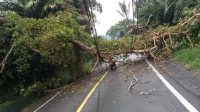 Akses Jalan Biruen- Takengon Sementara Tidak Bisa Di lalui