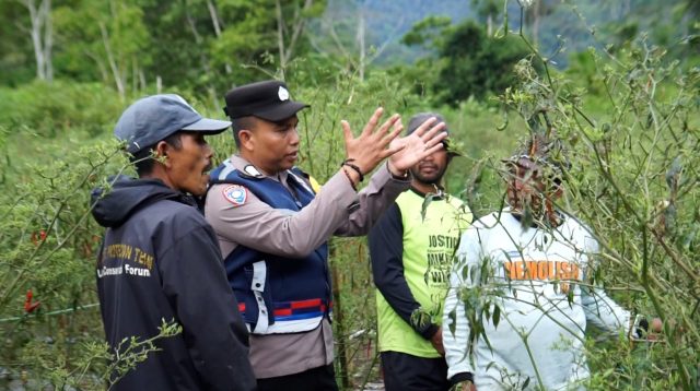 Bripka Adi Syafnur Arisal, Polisi Aceh Inspiratif  yang Mengubah Lahan Ganja jadi Lahan Palawija