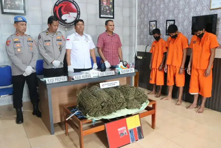 Polres Langsa Amankan 10 Kilogram Ganja