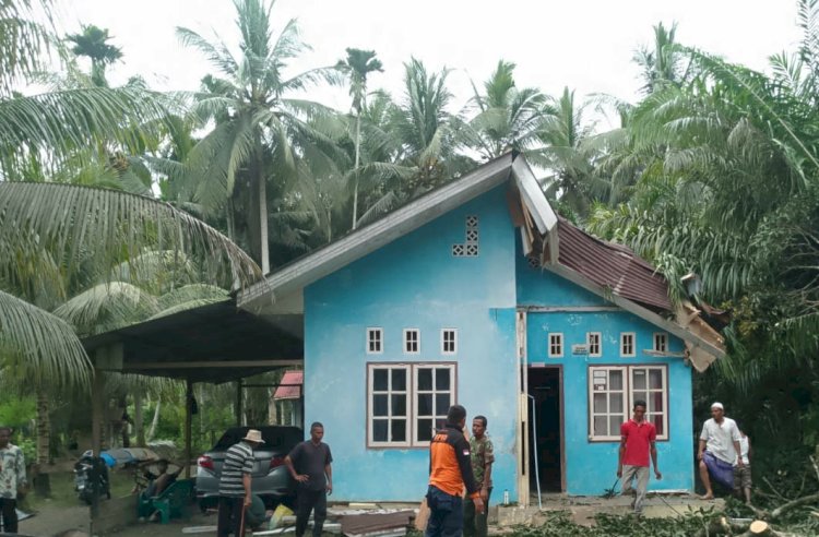 Satu Unit Rumah di Aceh Barat Rusak Tertimpa Pohon