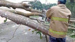 BPBD Aceh Besar Pastikan Sigap Tangani Laporan Masyarakat