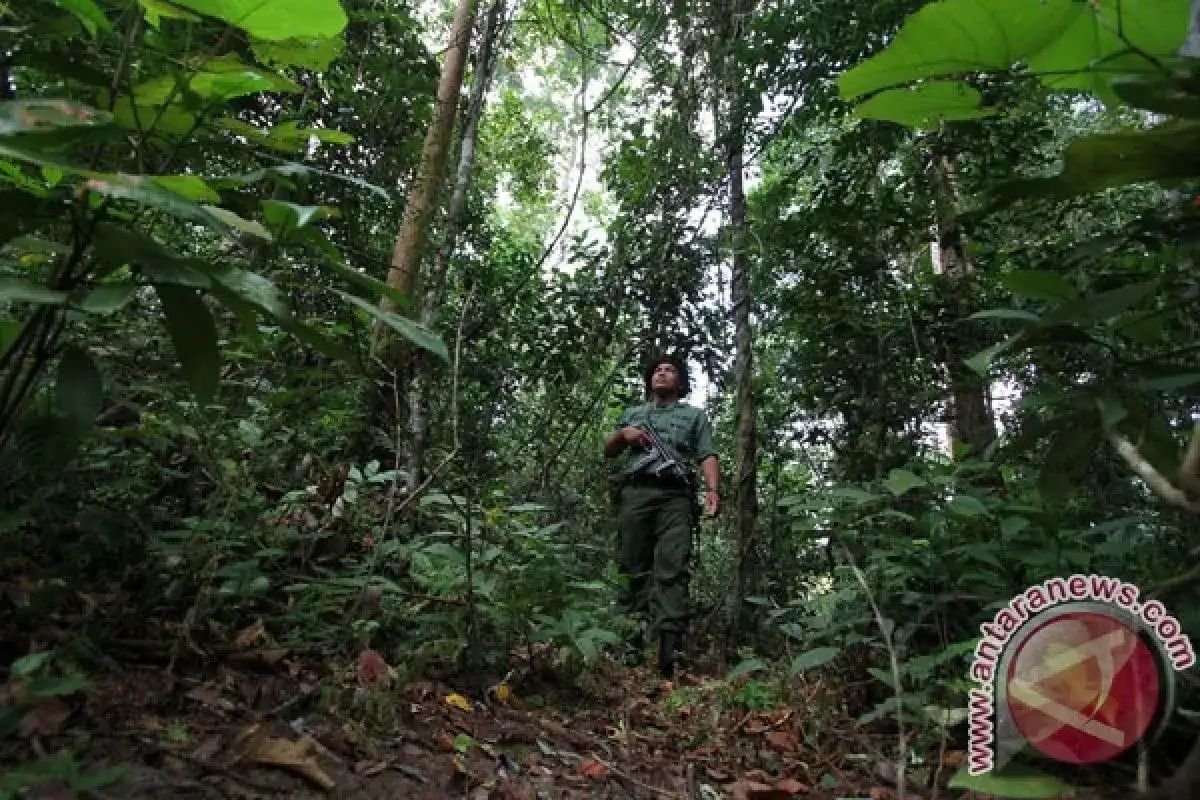 Aceh Alokasikan Rp48 Miliar untuk Jaga Hutan