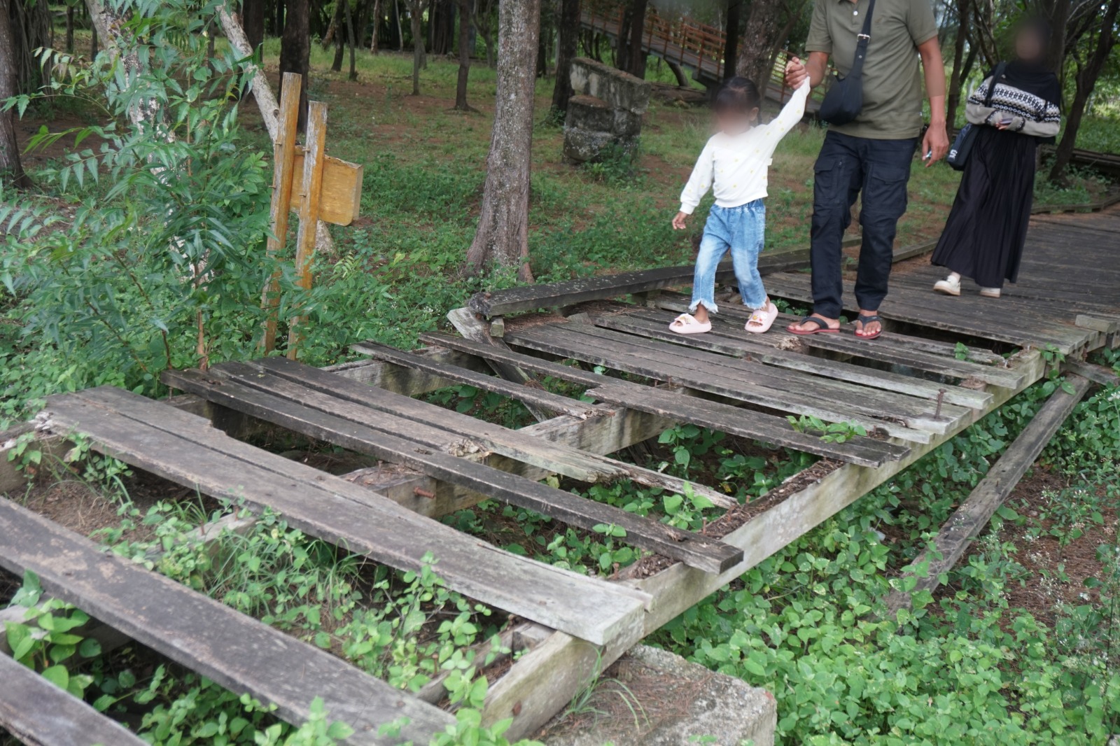 Kondisi Jembatan Kayu Hutan Kota BNI Tibang Membahayakan Pengunjung