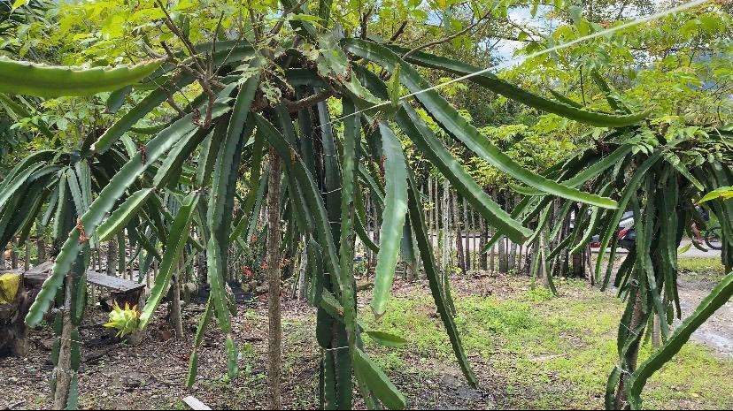 Peluang Usaha Menjanjikan di Sabang