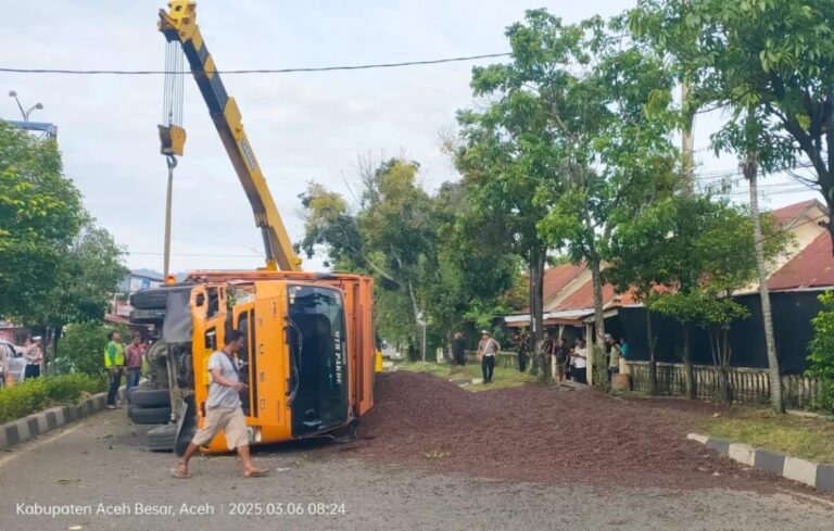 Muatan Sawit Brondol Tumpah ke Badan Jalan