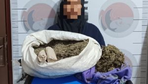 Nenek 57 Tahun Ditangkap, Diduga Edarkan 3,7 Kg Ganja