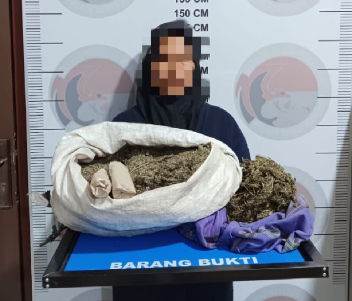 Nenek 57 Tahun Ditangkap, Diduga Edarkan 3,7 Kg Ganja