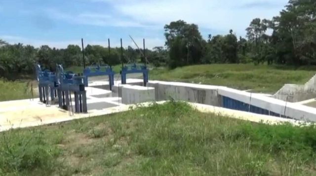 Minta Tolong ke Presiden, Warga Aceh Utara: 5 Tahun Kami Tak Turun ke Sawah