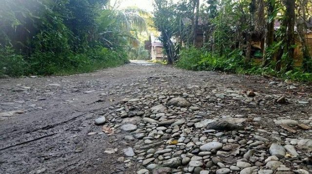 Hati-hati! Jalan Desa Drien Jaloe Abdya Dipenuhi Batu, Ancam Keselamatan Pengendara