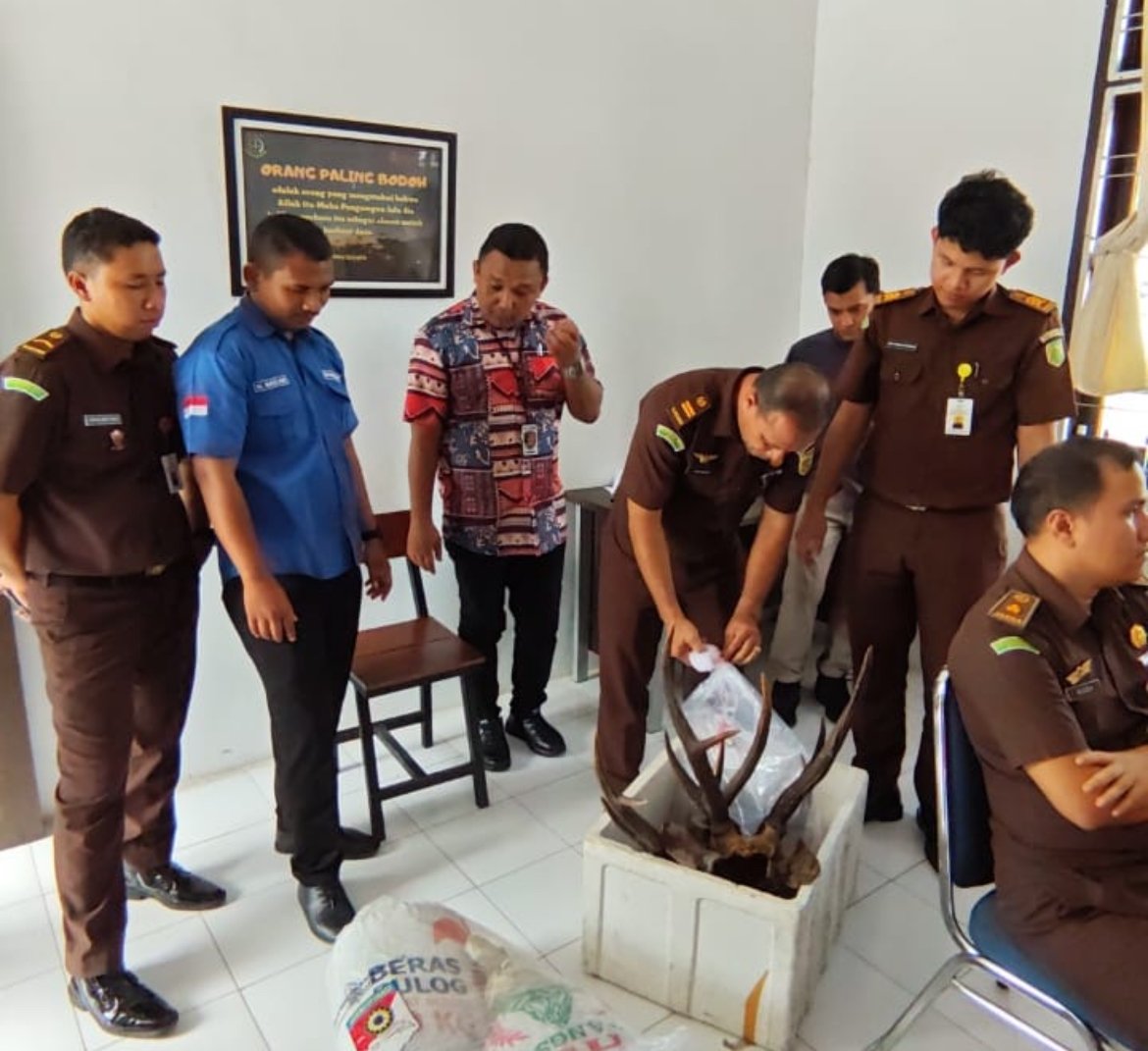 Jaringan Satwa Liar Dibongkar di Aceh Besar