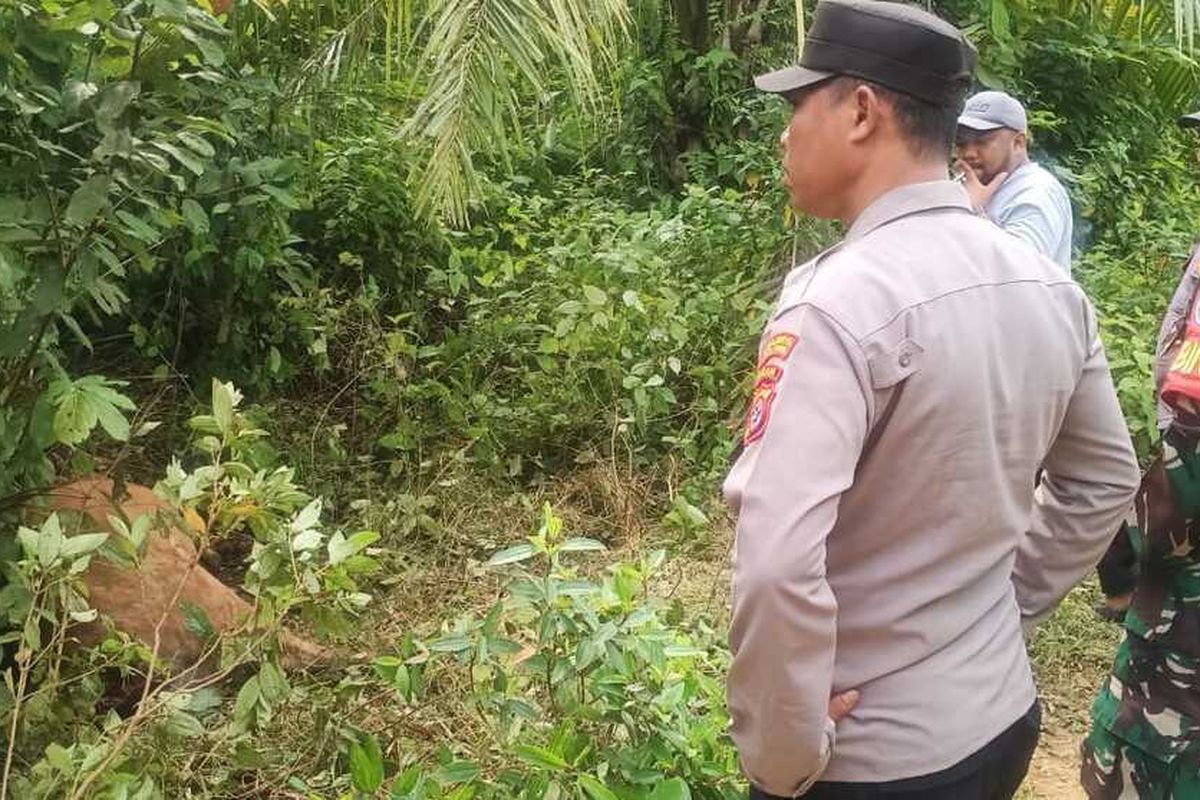 Harimau Mangsa Kambing Warga di Aceh Timur, Polisi Imbau Waspada