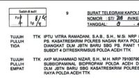sedeng_77-1744220544321-768x309