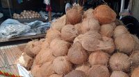 Jelang Lebaran Idul Adha, Permintaan Kelapa Santan di Aceh Tengah Meningkat