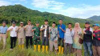 Luncurkan Program BASAGA, Forkopimda Aceh Selatan Turun ke Sawah untuk Bajak Gratis