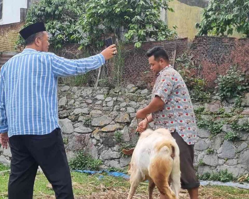 Jelang Idul Adha, DPRK Aceh Tengah Ingatkan Pentingnya Seleksi Hewan Kurban Sehat