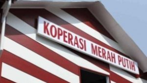 Pembentukan Koperasi Merah Putih di Aceh Besar Masih Tahap Koordinasi