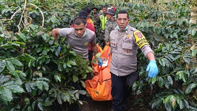 Teriakan Minta Ampun Sempat Terdengar Sebelum Mayat Wanita dalam Drum Ditemukan di Kebun Kopi