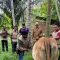 Persediaan hewan kurban di Aceh Besar sebanyak 3.199 ekor