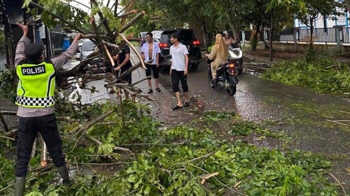 Polisi Evakuasi Pohon Tumbang di Aceh Utara, Akses Antar Kecamatan Kembali Normal