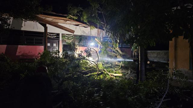 Pohon Tumbang Timpa Atap SD Negeri Pantee Kareung Akibat Angin Kencang