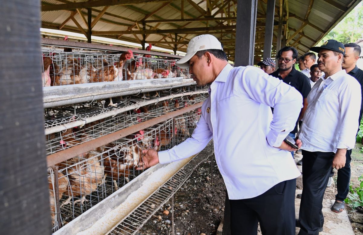 Syech Muharram Minta Pemerintah Aceh Alihkan Pengelolaan UPTD Ayam Petelur di Aceh Besar