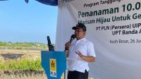 Pemkab Aceh Besar Dukung Penanaman 10 Ribu Mangrove oleh PLN di Baitussalam