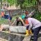 Pohon Tumbang Rusak Dua Rumah Warga di Sabang