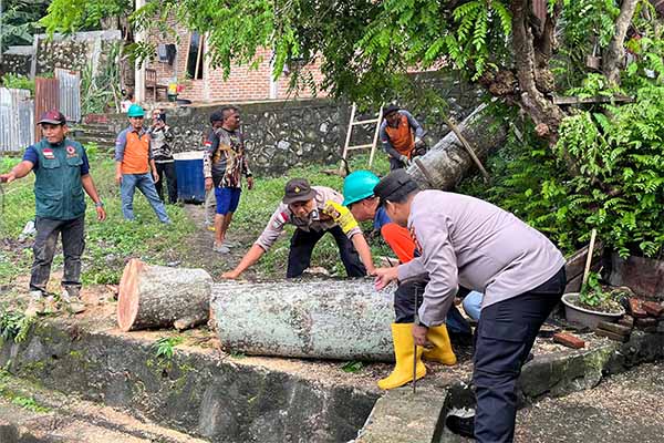Pohon Tumbang Rusak Dua Rumah Warga di Sabang