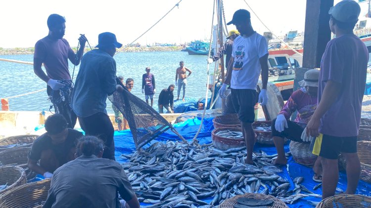 Harga Ikan di Banda Aceh Melonjak karena Kurangnya Hasil Tangkapan Nelayan