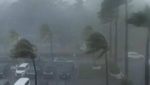 Peringatan Dini BMKG, Dalam Dua Hari Ini Wilayah Aceh Alami Hujan Lebat dan Angin Kencang